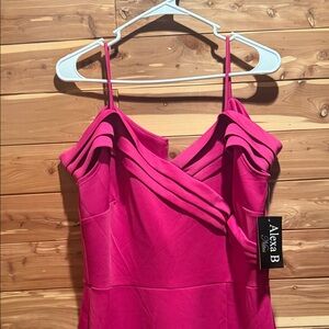 Alexa B Strapless Fuchsia Dress